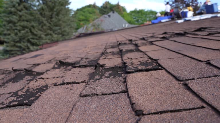 Best Roofing for New Construction  in Glendale, AZ