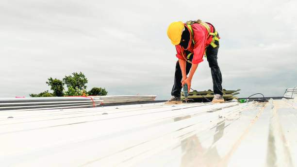 Best Roof Moss and Algae Removal  in Glendale, AZ
